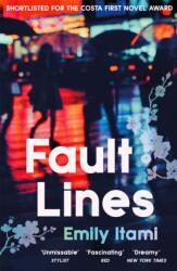 Fault Lines (ISBN: 9781474620260)