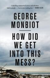 How Did We Get Into This Mess? (ISBN: 9781786630780)
