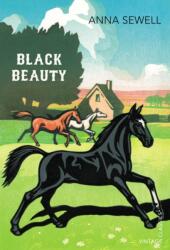 Black Beauty (ISBN: 9780099572930)