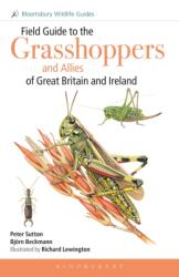 Field Guide to the Grasshoppers and Allies of Great Britain and Ireland (ISBN: 9781472976796)