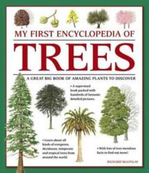 My First Encyclopedia of Trees (ISBN: 9781861478252)