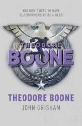 Theodore Boone - Kid Lawyer. Theo Boone und der unsichtbare Zeuge, englische Ausgabe (ISBN: 9781444714500)