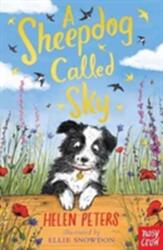 A Sheepdog Called Sky (ISBN: 9780857639110)