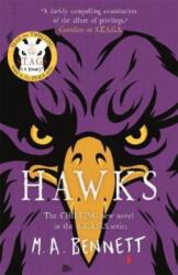 STAGS 5: HAWKS (ISBN: 9781471408700)