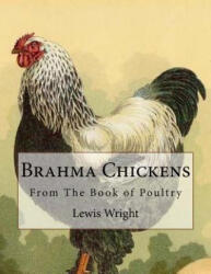Brahma Chickens: From The Book of Poultry - Lewis Wright (ISBN: 9781979401869)