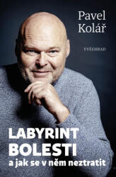 Labyrint bolesti | Pavel Kolář (ISBN: 9788026731092)