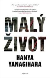 Malý život (ISBN: 9788081720529)