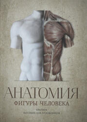 Анатомия фигуры человека / Anatomy Human Figure Guide for Artists in Russian language - В. А. Могилевцев (ISBN: 9785903733439)