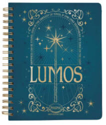 Harry Potter: Spells and Potions 12-Month Undated Planner (ISBN: 9798886631364)