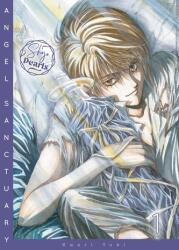 Angel Sanctuary Pearls 1 (ISBN: 9783551800060)