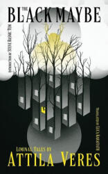 Black Maybe - Steve Rasnic Tem (ISBN: 9781954321700)