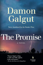 The Promise (ISBN: 9781609457440)