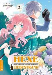 Hallo, ich bin eine Hexe und mein Schwarm wünscht sich einen Liebestrank von mir 02 (ISBN: 9783753906133)