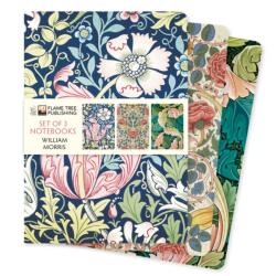 William Morris Set of 3 Standard Notebooks (ISBN: 9781835625132)