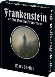 Frankenstein - Mary Shelley (ISBN: 9781398845879)