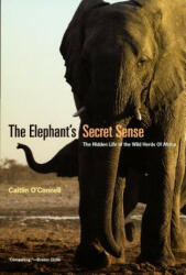 Elephant`s Secret Sense - The Hidden Life of the Wild Herds of Africa - Caitlin O'Connell (ISBN: 9780226616742)