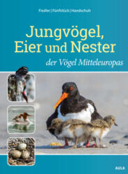 Jungvögel, Eier und Nester der Vögel Mitteleuropas - Hans-Joachim Fünfstück, Markus Handschuh (ISBN: 9783891048658)