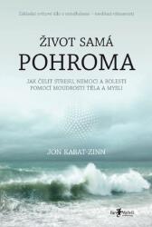 Viață plină de nenorociri (ISBN: 9788075550125)