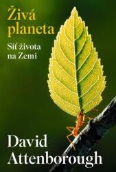 Planeta vie - Rețeaua vieții pe Pământ (2024)