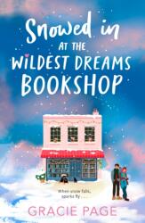 Snowed in at the Wildest Dreams Bookshop (2025)