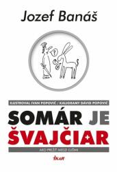 Somár je Švajčiar (2017)