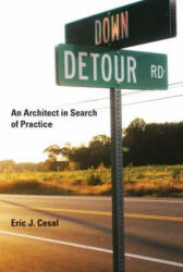 Down Detour Road - Cesal (ISBN: 9780262014618)