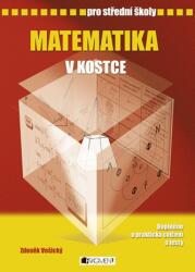 Matematika v kostce pro střední školy (2007)
