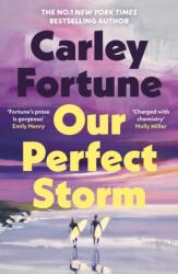 Our Perfect Storm (ISBN: 9780241813799)