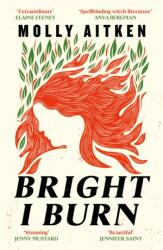 Bright I Burn (ISBN: 9781786898371)