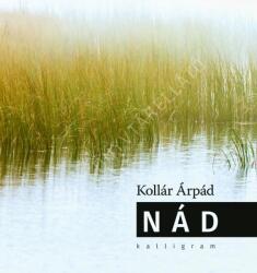 Nád (2025)