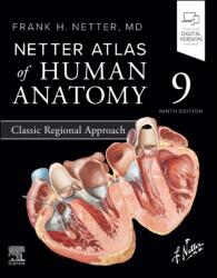 Netter Atlas of Human Anatomy: Classic Regional Approach (ISBN: 9780443118685)