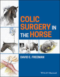 Colic Surgery in the Horse - DAVID E. FREEMAN (ISBN: 9781118479124)
