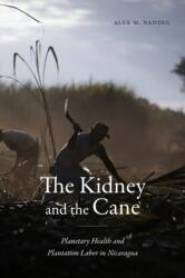 The Kidney and the Cane (ISBN: 9781478031871)