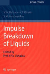 Impulse Breakdown of Liquids - Vasily Y. Ushakov, V. F. Klimkin, S. M. Korobeynikov, Vasily Y. Ushakov (ISBN: 9783642091858)