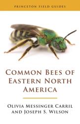 Common Bees of Eastern North America (ISBN: 9780691175492)