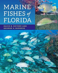 Marine Fishes of Florida - David B. Snyder (ISBN: 9781421418728)