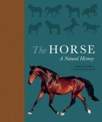Debbie Busby, Catrin Rutland - Horse - Debbie Busby, Catrin Rutland (ISBN: 9780691178776)