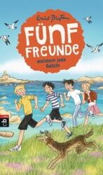 Fünf Freunde meistern jede Gefahr (ISBN: 9783570172179)