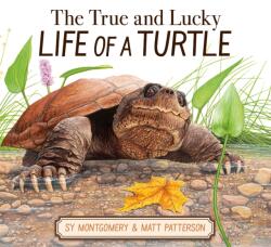 The True and Lucky Life of a Turtle - Matt Patterson (ISBN: 9780063325166)