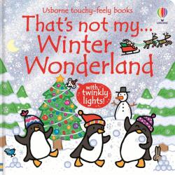 That's not my. . . Winter Wonderland (ISBN: 9781836042167)
