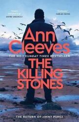 Killing Stones (ISBN: 9781035043163)