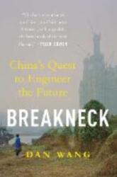 Breakneck - WANG DAN (ISBN: 9781324106036)
