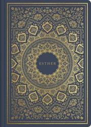 ESV Illuminated Scripture Journal (ISBN: 9781433569203)