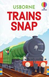 TRAINS SNAP (ISBN: 9781836040903)