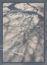 Galamb a járdán (2025)