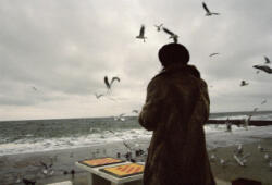 Yelena Yemchuk - Odesa - Yelena Yemchuk (2022)