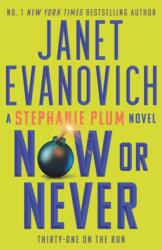 Now or Never (ISBN: 9781035402069)