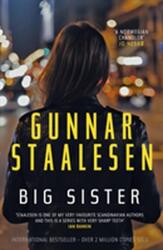 Big Sister (ISBN: 9781912374199)