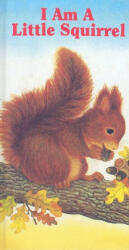I am a Little Squirrel - Amrei Fechner (ISBN: 9780718829025)