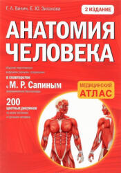 Анатомия человека - Г. Билич, Е. Зигалова (2016)